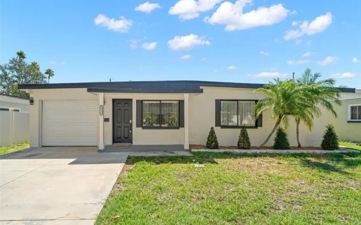 4135 DES MOINES NE ST PETERSBURG 33703